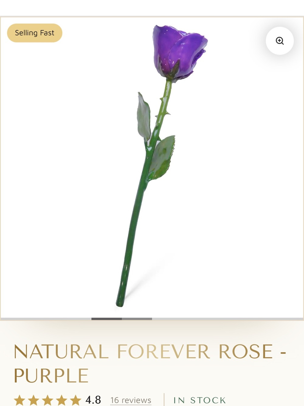 NEW natural forever rose - purple